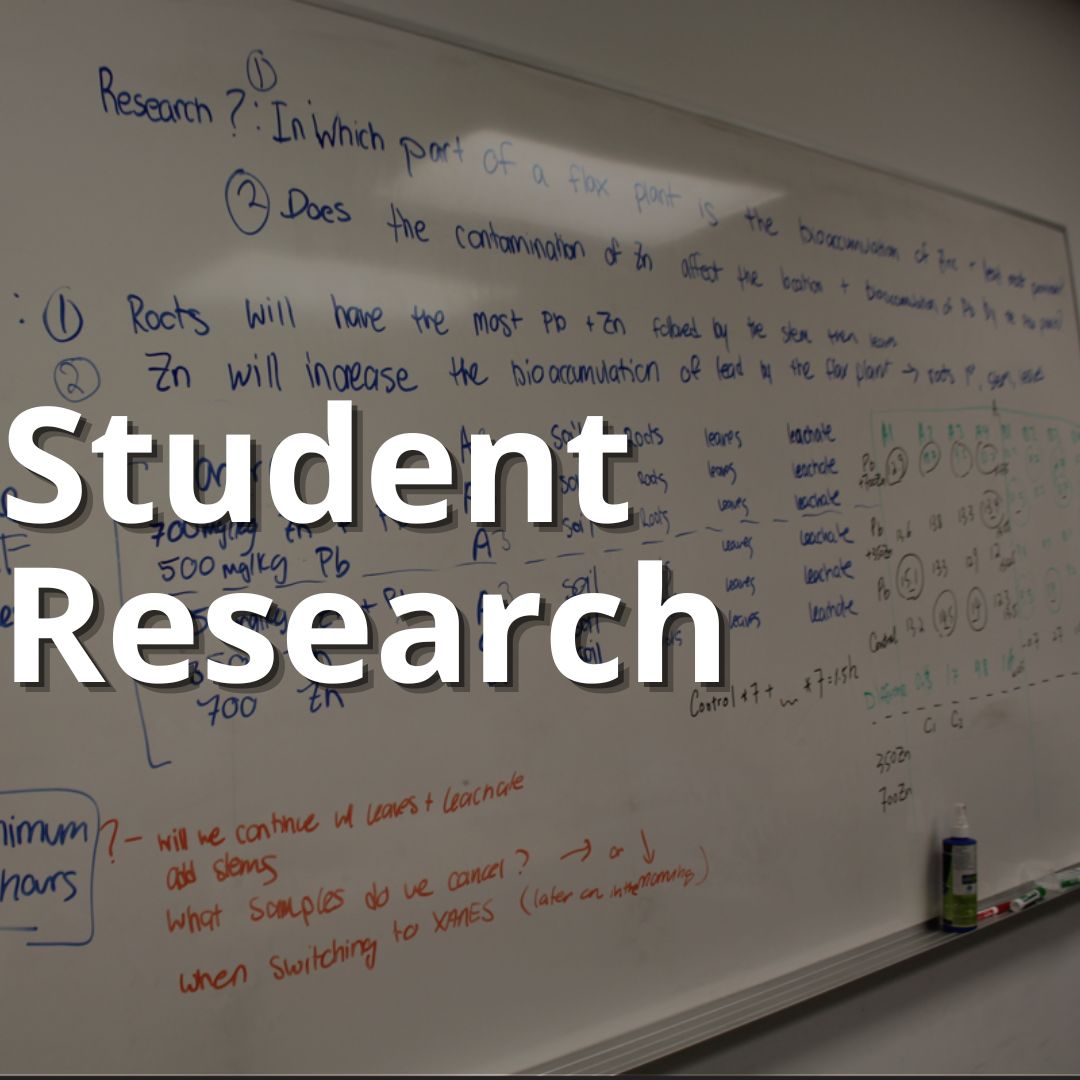 Professional Learning